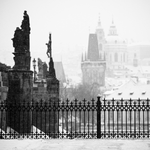 Sníh dorazil do Prahy, fotografie č. 9